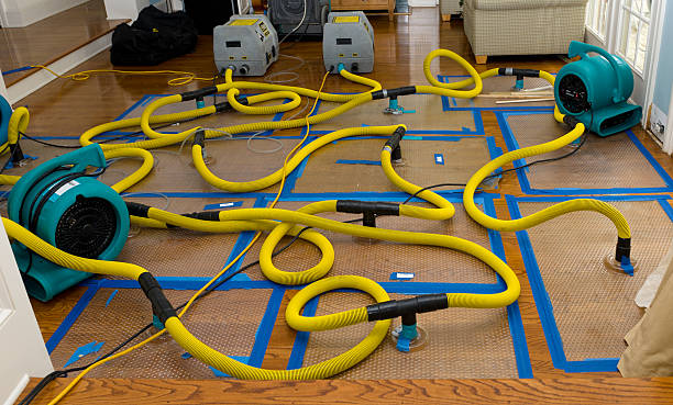 Professional Sewage Cleanup technician working in Whitman, MA